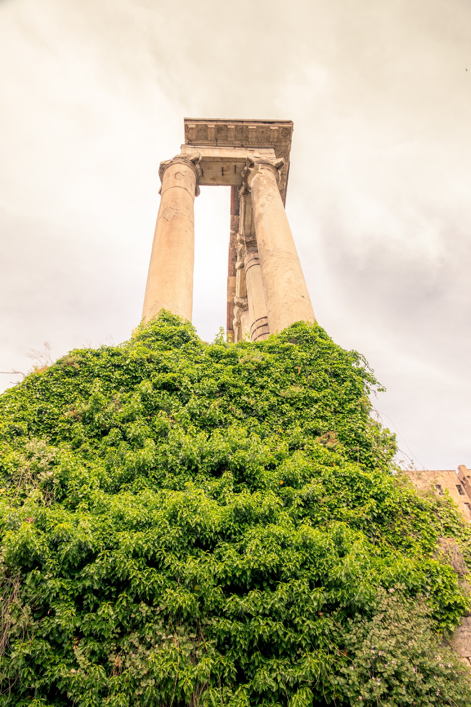 20250509 Rome Forum Romana 009